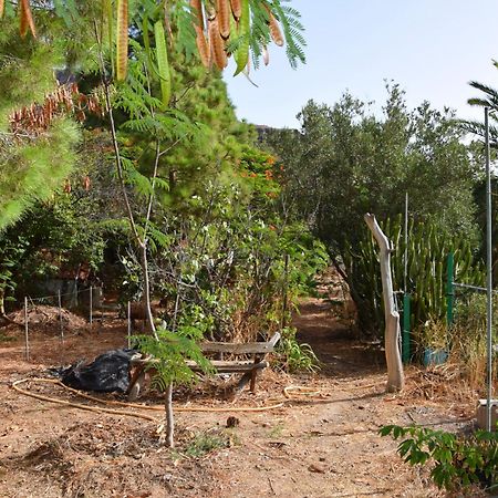 La Casa De Los Pinos Temisas Exteriér fotografie