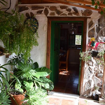 La Casa De Los Pinos Temisas Exteriér fotografie