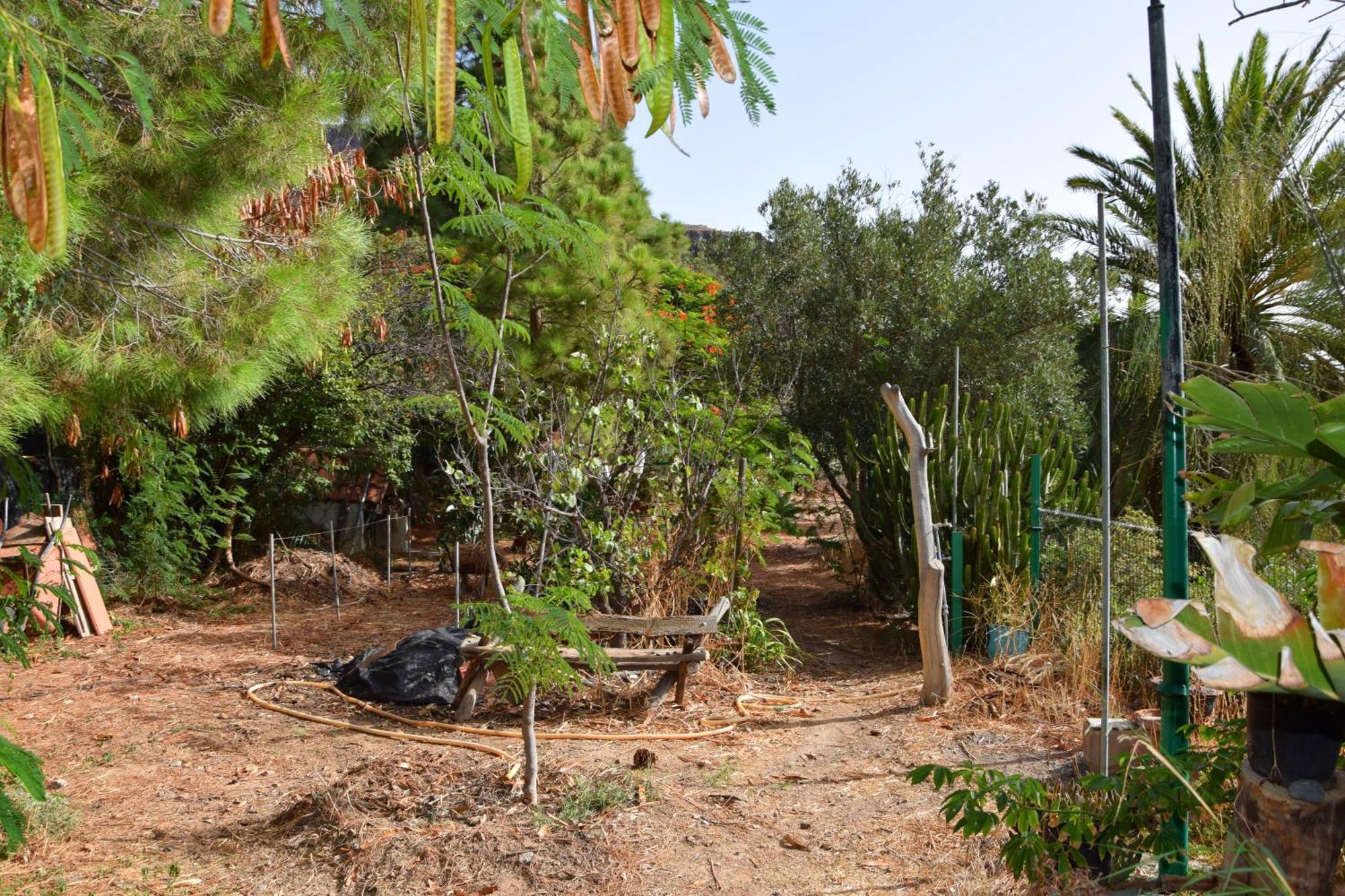 La Casa De Los Pinos Temisas Exteriér fotografie