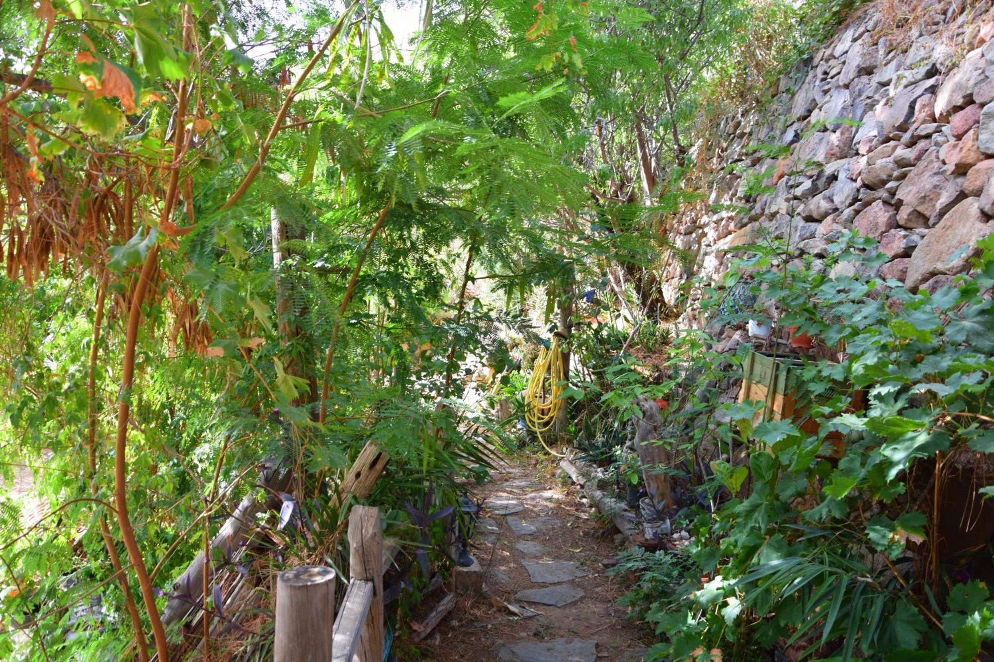 La Casa De Los Pinos Temisas Exteriér fotografie